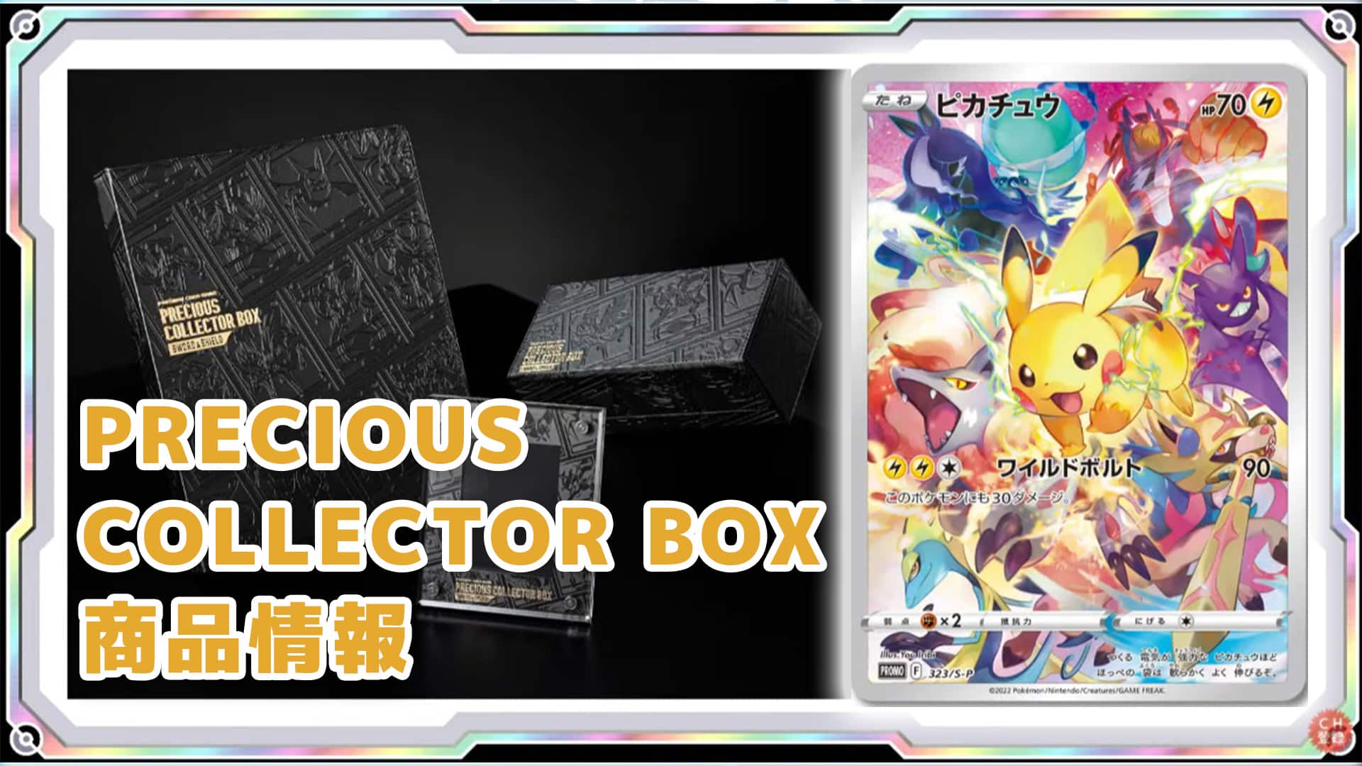 PRECIOUS COLLECTOR BOX プレシャスコレクターボックス-