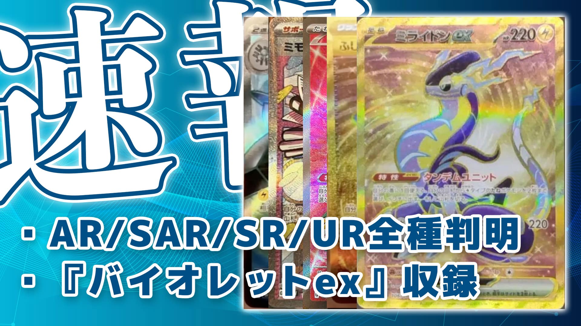 バイオレット　ウィンディ　ex sr