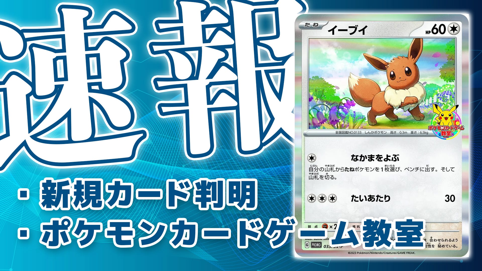 現品販売 ポケモンカード イーブイプロモ ポケモンカードゲーム教室