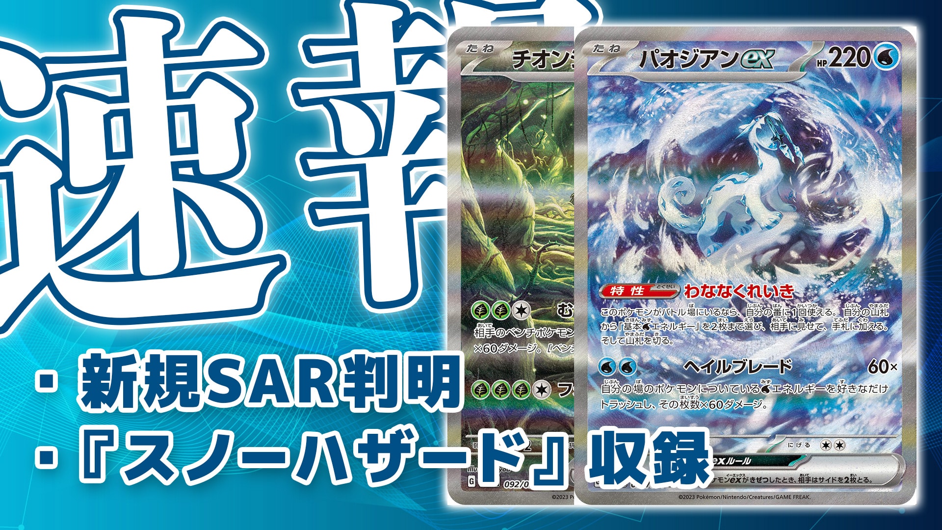 ポケモンカードゲーム パオジアンex SAR | gulatilaw.com