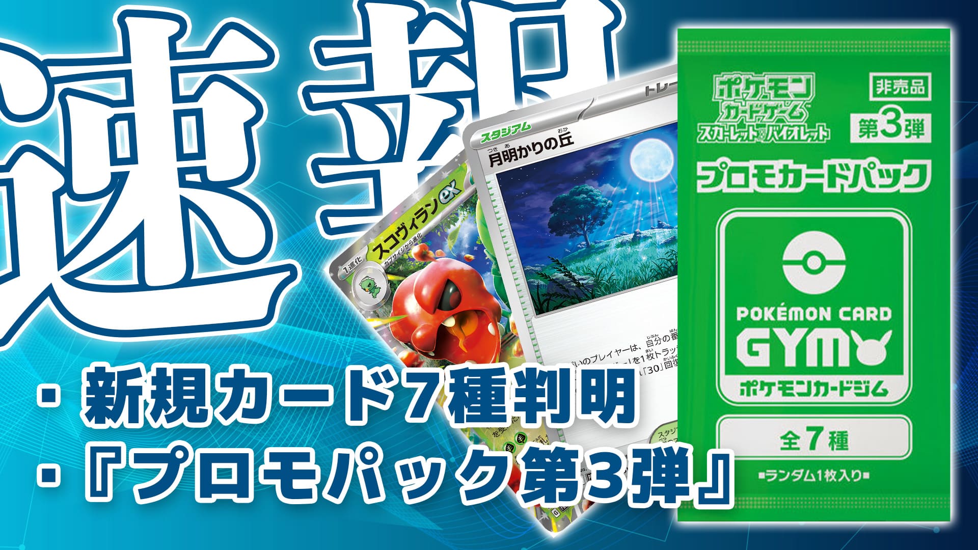 月明かりの丘 1枚 プロモ ポケモンカード troqueibrecho.com.br